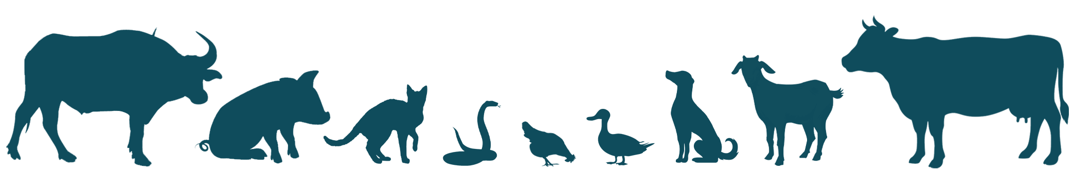 QueVETS